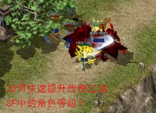 如何快速提升传奇江湖SF中的角色等级? 如何快速提升传奇江湖SF中的角色等级?