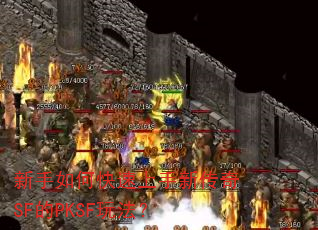 新手如何快速上手新传奇SF的PKSF玩法? 新手如何快速上手新传奇SF的PKSF玩法?
