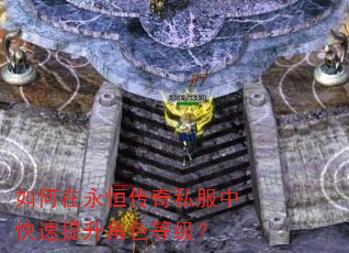 如何在永恒传奇私服中快速提升角色等级? 如何在永恒传奇私服中快速提升角色等级?
