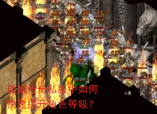 最新传奇私服中如何快速提升角色等级? 最新传奇私服中如何快速提升角色等级?