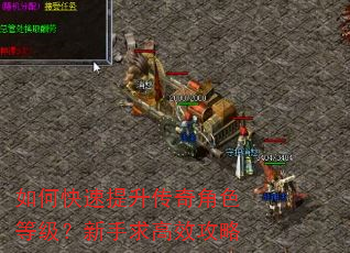 如何快速提升传奇角色等级?新手求高效攻略 如何快速提升传奇角色等级?新手求高效攻略