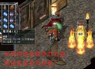 如何快速获取变态公益服顶级装备与技能? 如何快速获取变态公益服顶级装备与技能?