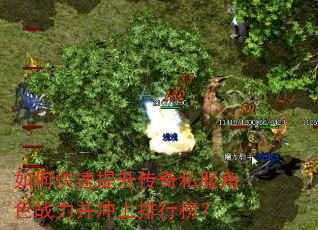 如何快速提升传奇私服角色战力并冲上排行榜? 如何快速提升传奇私服角色战力并冲上排行榜?