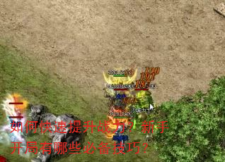 如何快速提升战力?新手开局有哪些必备技巧? 如何快速提升战力?新手开局有哪些必备技巧?