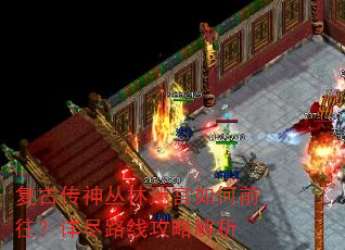 复古传神丛林迷宫如何前往?详尽路线攻略解析 复古传神丛林迷宫如何前往?详尽路线攻略解析