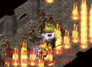 ��ο���������ְҵ����̬����˽���еĽ�ɫս������
