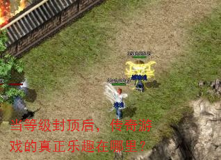 当等级封顶后,传奇游戏的真正乐趣在哪里? 当等级封顶后,传奇游戏的真正乐趣在哪里?