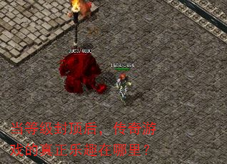 当等级封顶后,传奇游戏的真正乐趣在哪里? 当等级封顶后,传奇游戏的真正乐趣在哪里?