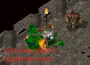 如何在神鬼传奇SF中快速提升角色等级? 如何在神鬼传奇SF中快速提升角色等级?