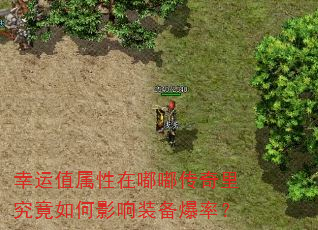幸运值属性在嘟嘟传奇里究竟如何影响装备爆率? 幸运值属性在嘟嘟传奇里究竟如何影响装备爆率?
