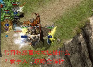 传奇私服官网网址是什么?新手入门攻略全解析 传奇私服官网网址是什么?新手入门攻略全解析