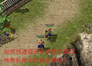 如何快速提升在洪荒之冥河传奇私服中的角色等级? 如何快速提升在洪荒之冥河传奇私服中的角色等级?