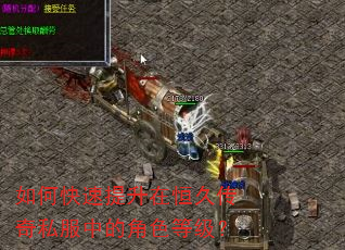 如何快速提升在恒久传奇私服中的角色等级? 如何快速提升在恒久传奇私服中的角色等级?