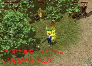 如何快速提升真传奇私服角色等级与战力? 如何快速提升真传奇私服角色等级与战力?