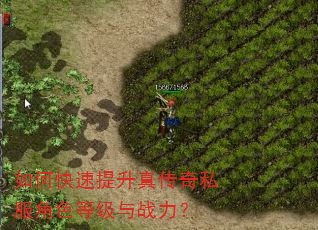 如何快速提升真传奇私服角色等级与战力? 如何快速提升真传奇私服角色等级与战力?