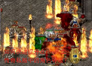 如何快速提升在niu热血传奇私服中的角色等级? 如何快速提升在niu热血传奇私服中的角色等级?