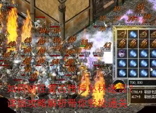 ���ǰ�����Ŵ�������Թ�����ϸ���Խ�����������ͨ��