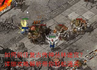 ���ǰ�����Ŵ�������Թ�����ϸ���Խ�����������ͨ��