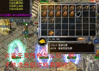 奔雷无双传奇怎么玩?新手快速升级攻略有哪些? 奔雷无双传奇怎么玩?新手快速升级攻略有哪些?
