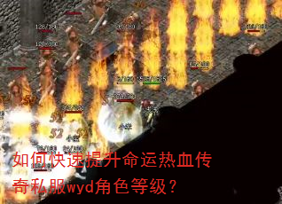 如何快速提升命运热血传奇私服wyd角色等级? 如何快速提升命运热血传奇私服wyd角色等级?
