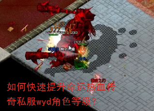 如何快速提升命运热血传奇私服wyd角色等级? 如何快速提升命运热血传奇私服wyd角色等级?