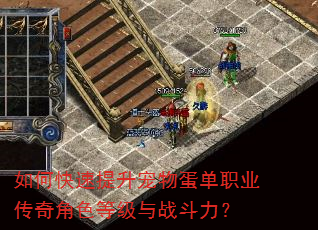 如何快速提升宠物蛋单职业传奇角色等级与战斗力? 如何快速提升宠物蛋单职业传奇角色等级与战斗力?