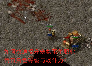 如何快速提升宠物蛋单职业传奇角色等级与战斗力? 如何快速提升宠物蛋单职业传奇角色等级与战斗力?
