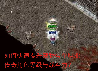 如何快速提升宠物蛋单职业传奇角色等级与战斗力? 如何快速提升宠物蛋单职业传奇角色等级与战斗力?
