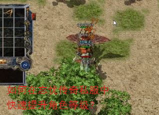 如何在忘忧传奇私服中快速提升角色等级? 如何在忘忧传奇私服中快速提升角色等级?