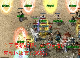 ��������ս������ο��ٹ�����������ɱBOSS��