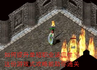 如何提升单招职业适应性?这份游戏式攻略能助你通关 如何提升单招职业适应性?这份游戏式攻略能助你通关