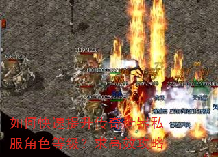 如何快速提升传奇世界私服角色等级?求高效攻略 如何快速提升传奇世界私服角色等级?求高效攻略