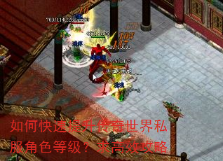 如何快速提升传奇世界私服角色等级?求高效攻略 如何快速提升传奇世界私服角色等级?求高效攻略