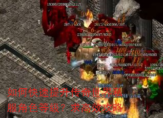 如何快速提升传奇世界私服角色等级?求高效攻略 如何快速提升传奇世界私服角色等级?求高效攻略