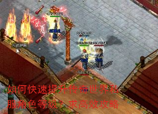 如何快速提升传奇世界私服角色等级?求高效攻略 如何快速提升传奇世界私服角色等级?求高效攻略