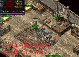 如何在森蓝传奇私服快速提升角色等级? 如何在森蓝传奇私服快速提升角色等级?