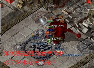如何快速提升新传奇私服第54服角色等级? 如何快速提升新传奇私服第54服角色等级?