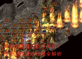 如何快速摆脱新手身份?传奇游戏进阶攻略全解析 如何快速摆脱新手身份?传奇游戏进阶攻略全解析