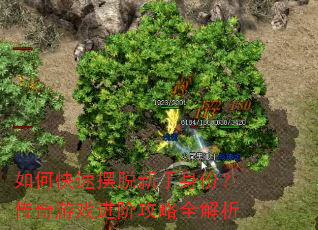 如何快速摆脱新手身份?传奇游戏进阶攻略全解析 如何快速摆脱新手身份?传奇游戏进阶攻略全解析