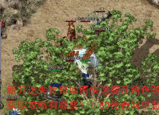 新开迷失传奇如何快速提升角色等级?复古单职业传奇装备获取攻略有哪些?1.80传奇网中怎样高效打金赚钱? 新开迷失传奇如何快速提升角色等级?复古单职业传奇装备获取攻略有哪些?1.80传奇网中怎样高效打金赚钱?