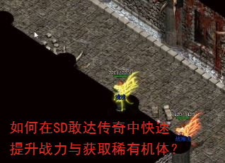 如何在SD敢达传奇中快速提升战力与获取稀有机体? 如何在SD敢达传奇中快速提升战力与获取稀有机体?