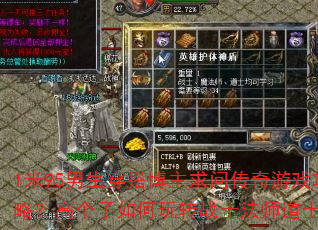 1��95������������ʴ�����Ϸ���ԣ��߸��������תսʿ��ʦ��ʿְҵ