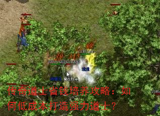 传奇道士省钱培养攻略:如何低成本打造强力道士? 传奇道士省钱培养攻略:如何低成本打造强力道士?