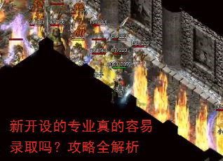 新开设的专业真的容易录取吗?攻略全解析 新开设的专业真的容易录取吗?攻略全解析