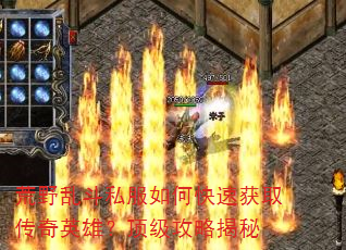 ��Ұ�Ҷ�˽����ο��ٻ�ȡ����Ӣ�ۣ��������Խ���