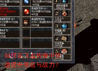 如何在飞龙传奇中快速提升等级与战力? 如何在飞龙传奇中快速提升等级与战力?