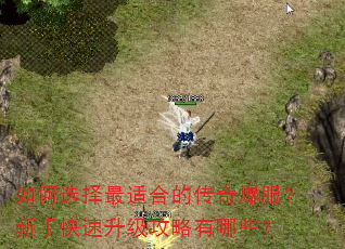 如何选择最适合的传奇爆服?新手快速升级攻略有哪些? 如何选择最适合的传奇爆服?新手快速升级攻略有哪些?